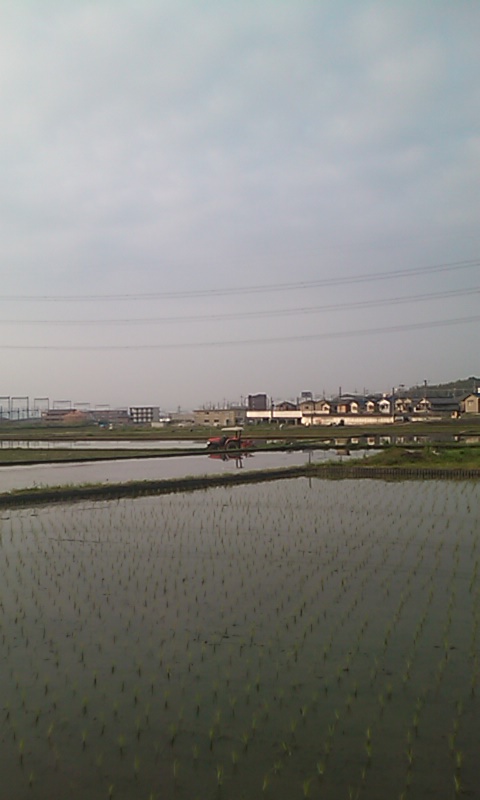 100603_0641~01.jpg