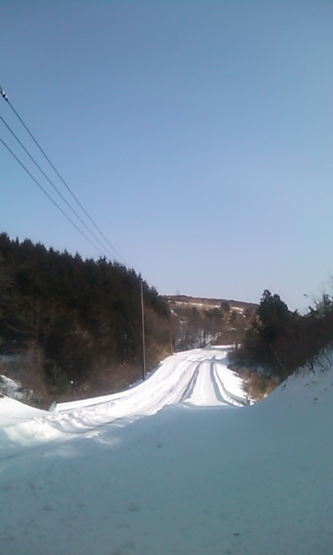 110129_0950~01.jpg