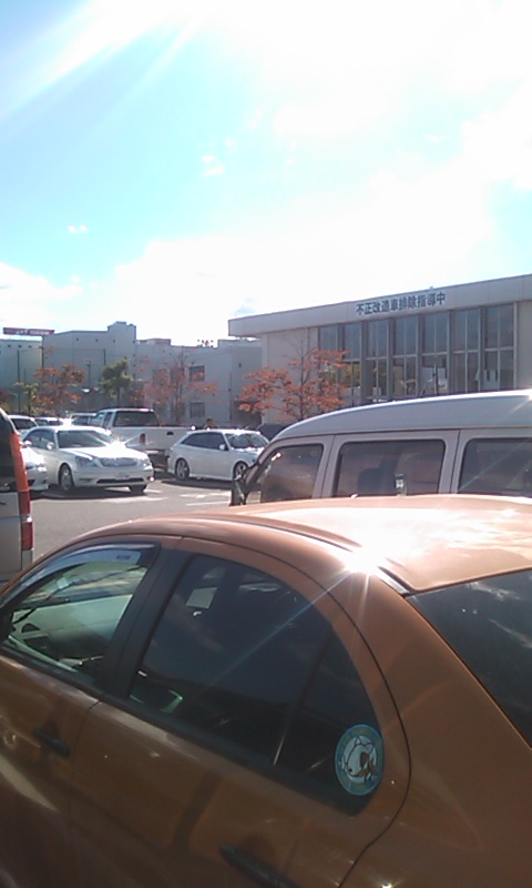 101027_1341~01.jpg