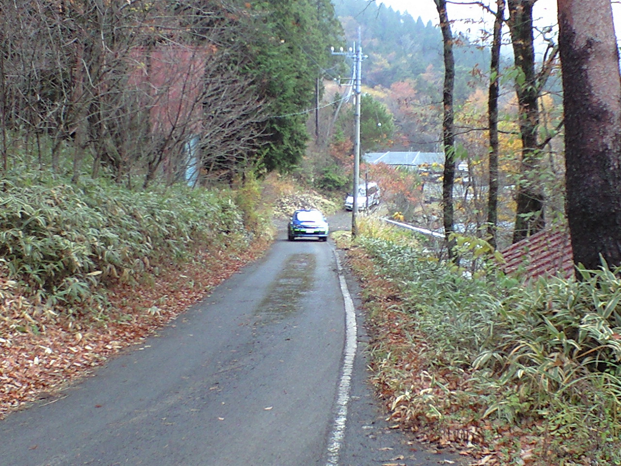 CA390526.jpg