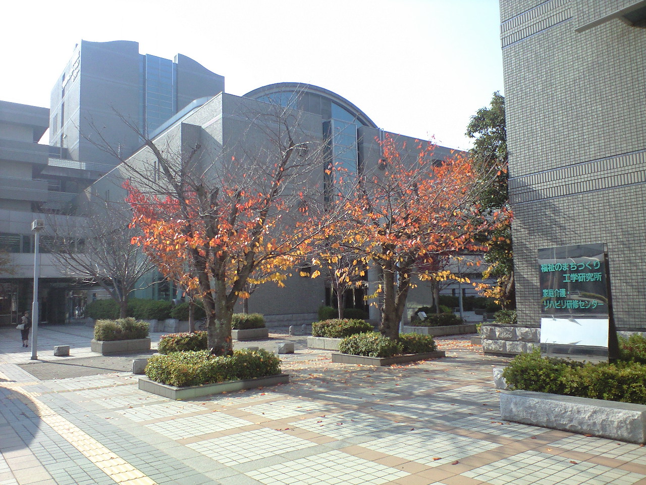 CA390551.jpg