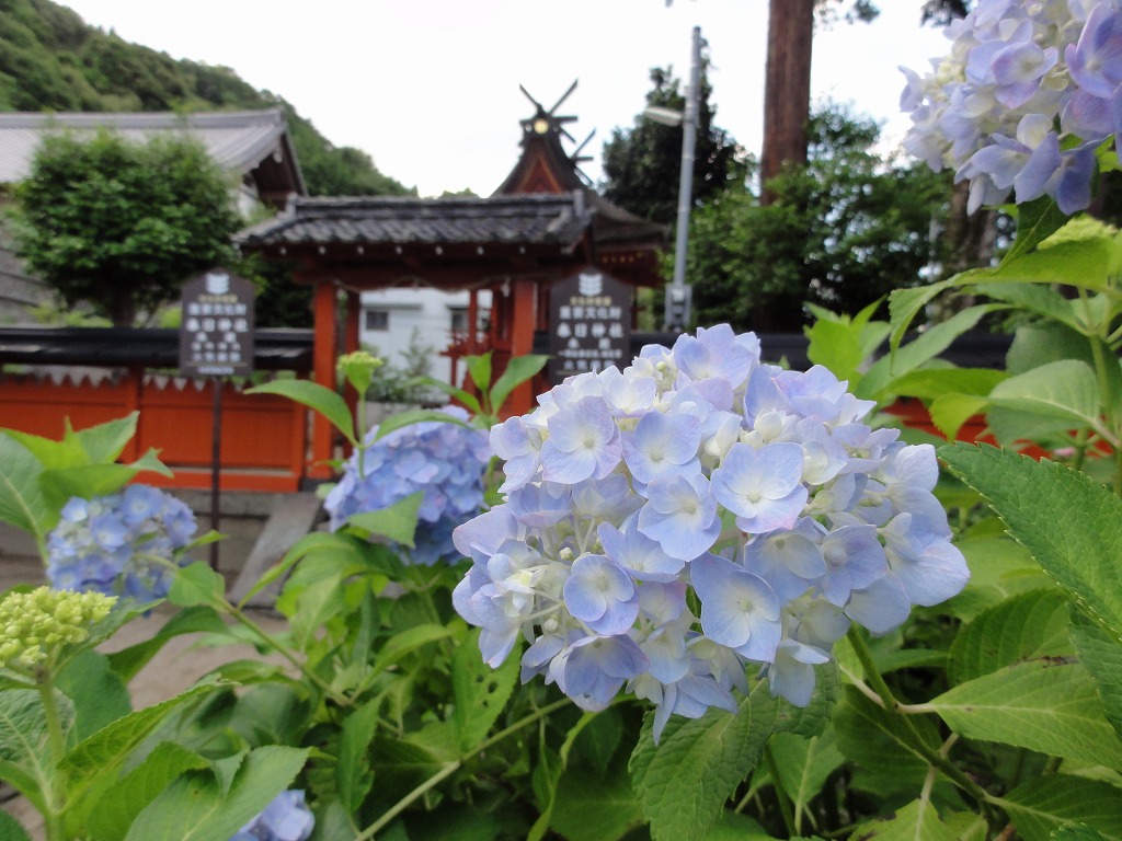 DSC00123.jpg