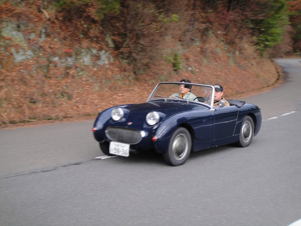 DSC00740.jpg