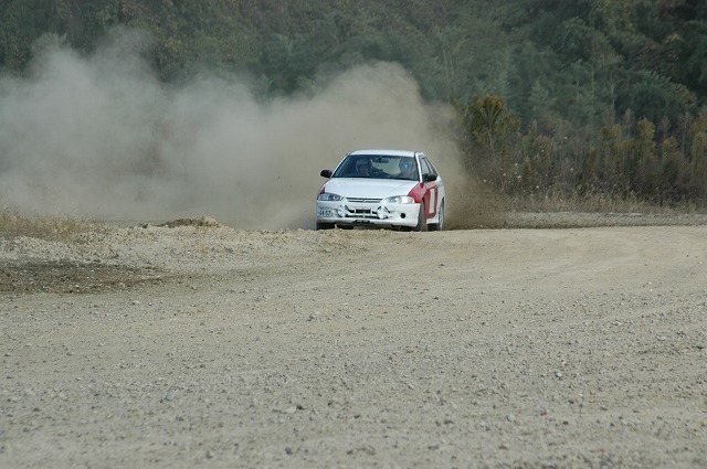dart2007Spring.jpg